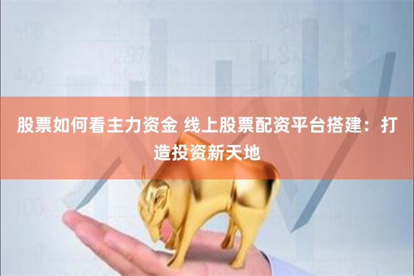 股票如何看主力资金 线上股票配资平台搭建：打造投资新天地