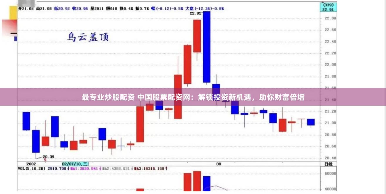 最专业炒股配资 中国股票配资网：解锁投资新机遇，助你财富倍增