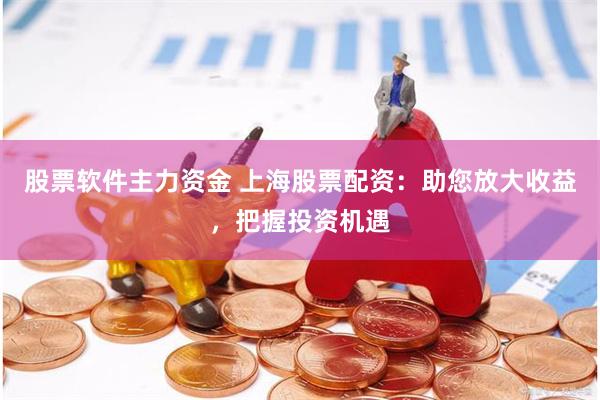股票软件主力资金 上海股票配资：助您放大收益，把握投资机遇
