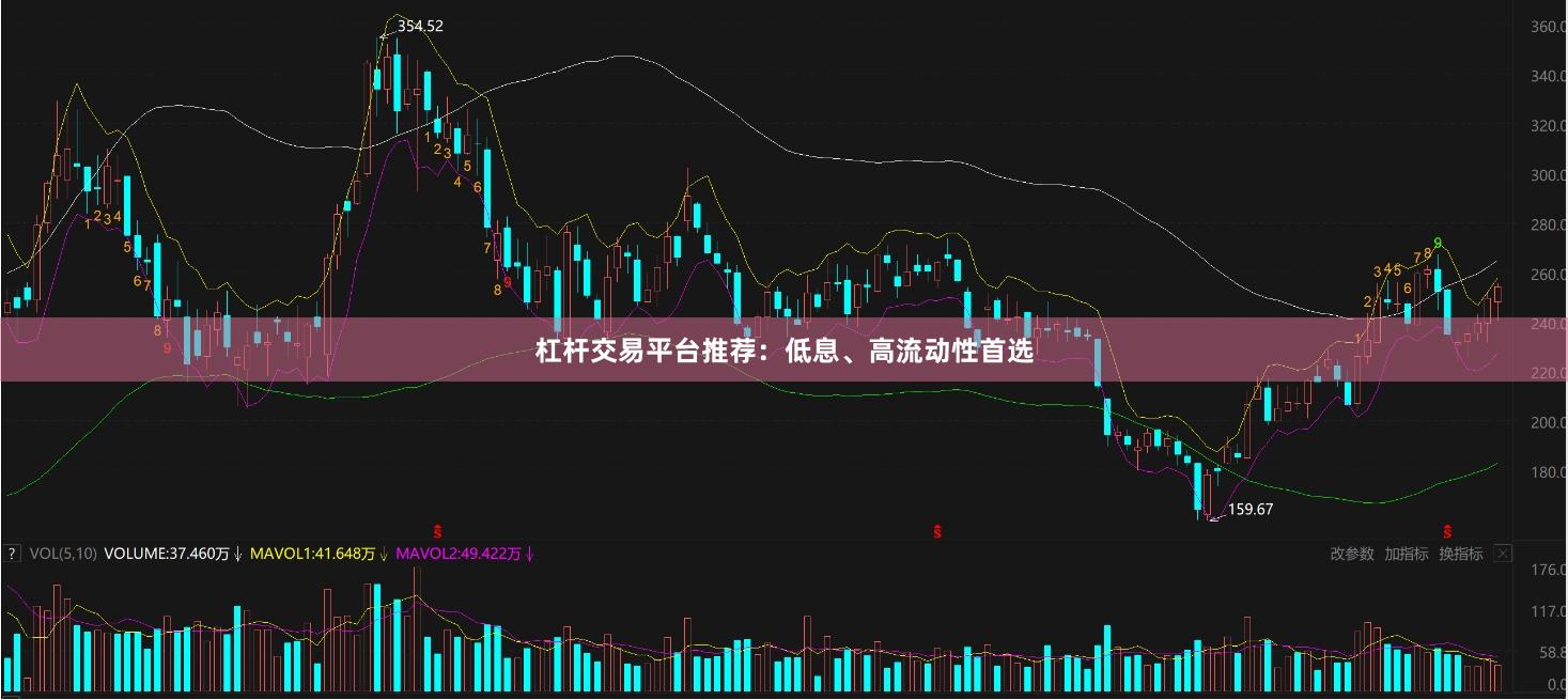 杠杆交易平台推荐:低息、高流动性首选