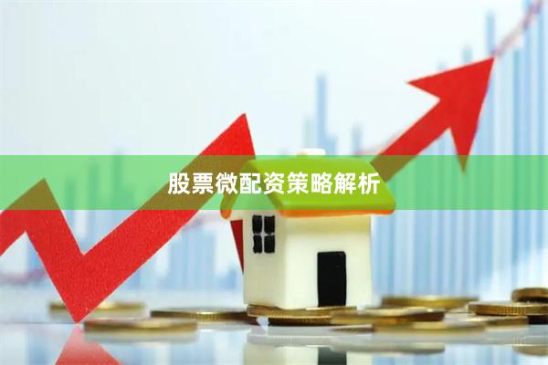 股票微配资策略解析