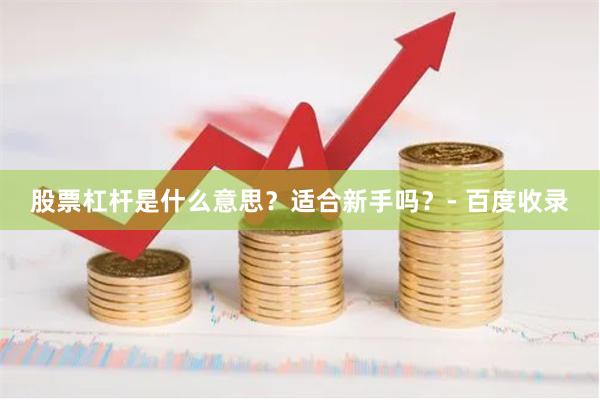 股票杠杆是什么意思？适合新手吗？- 百度收录